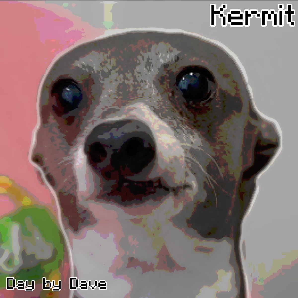 kermit the dog meme