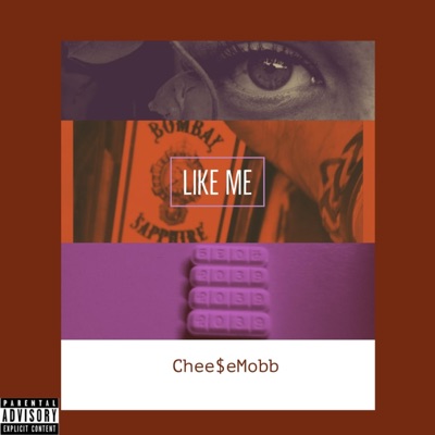 Like Me (feat. Zilla, Olidisco & Bra) - Single