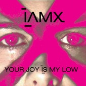 Your Joy Is My Low (You Are X Remix By Thomas Sari) artwork
