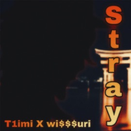 Stray T1imi & wi$$$uri