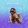 Mr Vibeman, Vol. 1