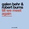 Till We Meet Again (Galen Behr Remix) artwork
