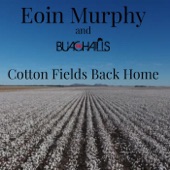 Cotton Fields Back Home artwork