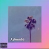 Acdmnd$ - EP