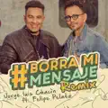 Borra Mi Mensaje (Remix)