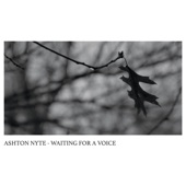 Ashton Nyte - Disappear