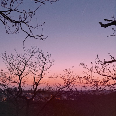 Miss U - Single