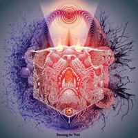 Album cover for Manifest by Forming the Void