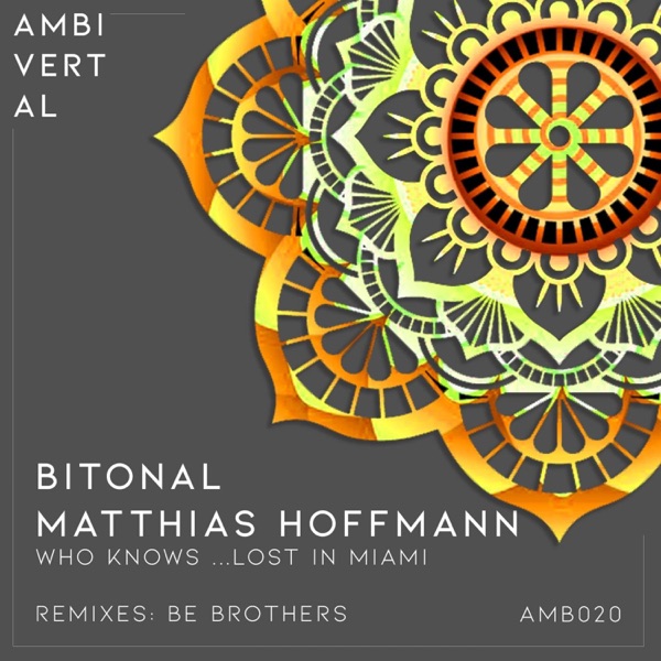 Who Knows...Lost in Miami - Single
