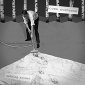 Walking Around (Instrumental Version) artwork
