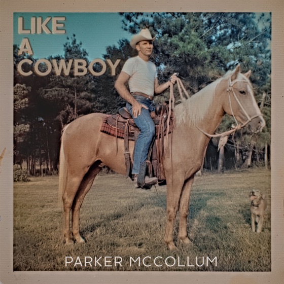 Cover artwork for Like a Cowboy