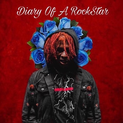 Diary of a Rockstar