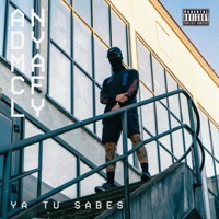 Ya Tu Sabes - Single - Andy Macfly