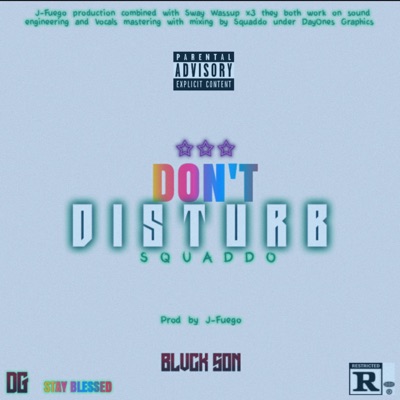 Don't Disturb (Interlude) - Single