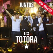 Juntos (En Vivo en el Gran Rex) artwork