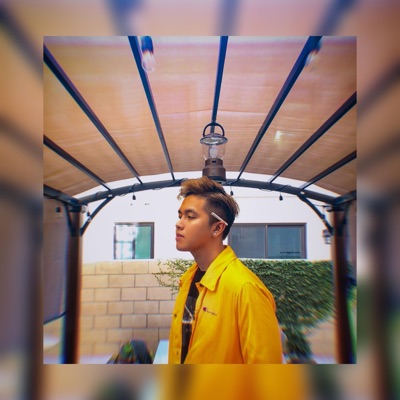 Đã Có Ai Chưa ? - Single