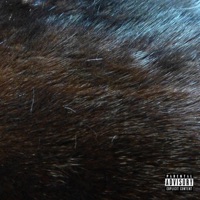 European Mink (feat. George Hudson IV, Bluntana, Teflon Quan & KFP Ken) - Single - SM Tone