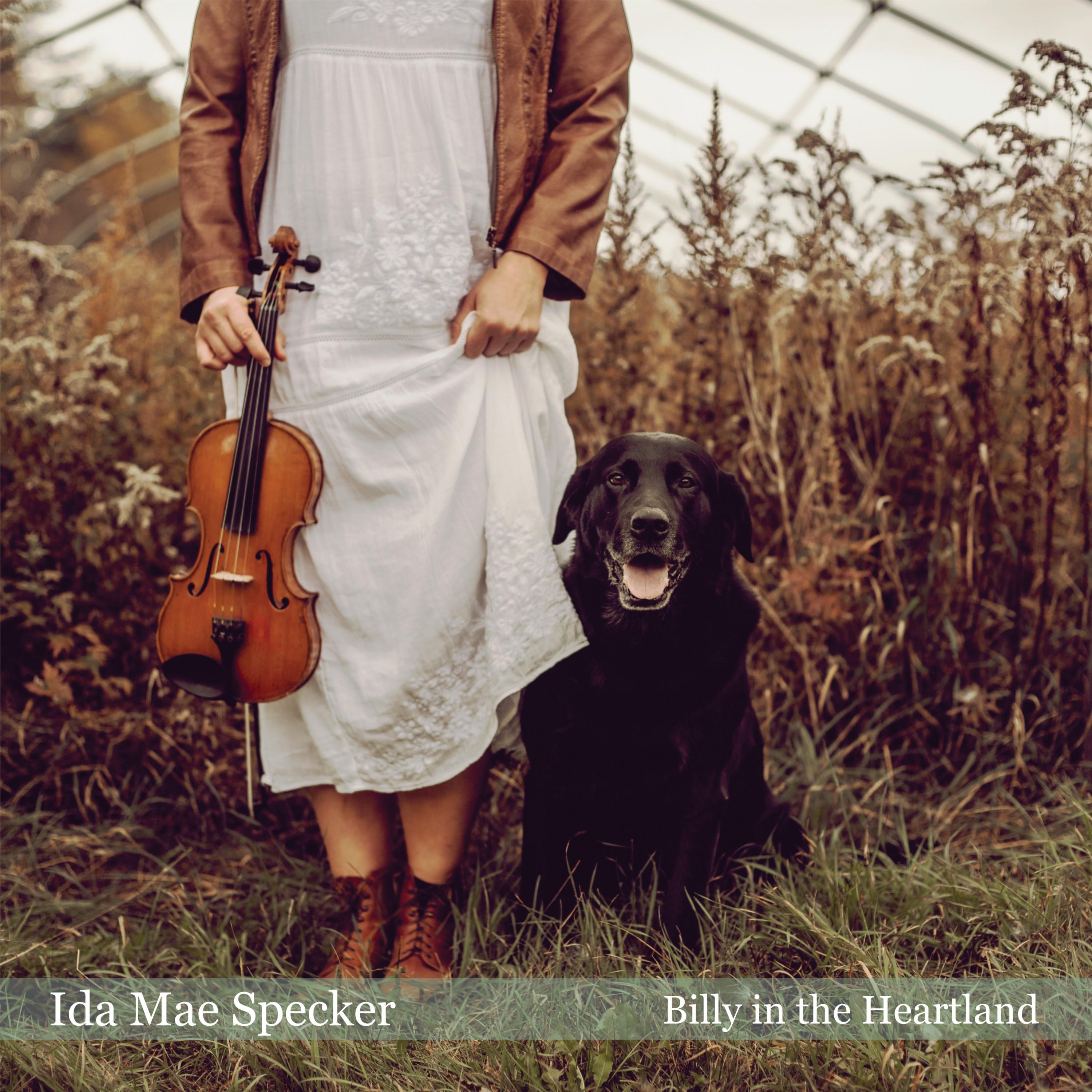 Billy in the Heartland - EP