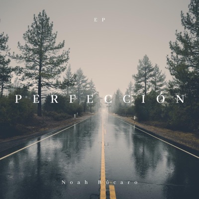 Perfección - EP