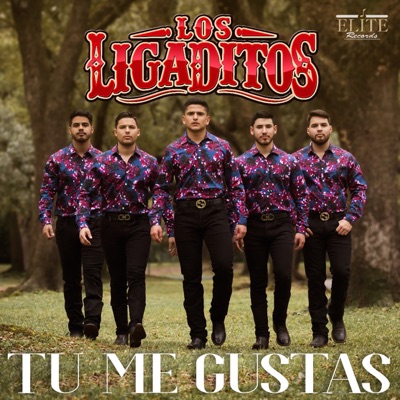 Tu Me Gustas - Single