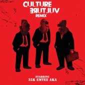 Culture Vulture (feat. AKA & Emtee) [Remix] artwork