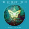 The Butterfly Effect : Elevate Your Vibration