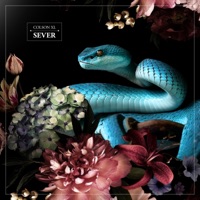Sever - Single - Colson XL