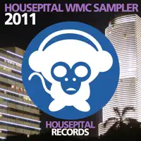 Flyn (Original Mix) — Lucas and Steve
