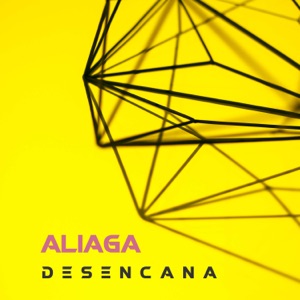 Desencana - Single