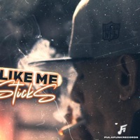 Like Me - Single - Fula Funk