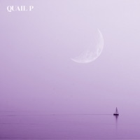 Get You the Moon (Acoustic) - Single - Quail P