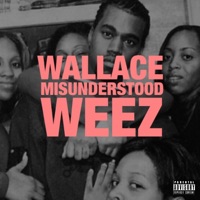 Misunderstood (feat. Weez) - Single - WALITO