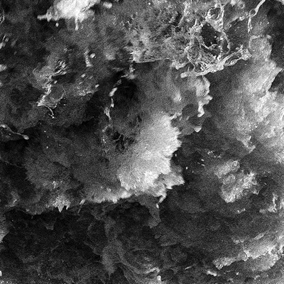 That Is All We Ask of You - Single