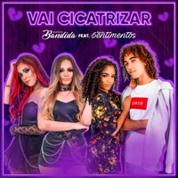 Vai Cicatrizar (feat. Banda Sentimentos) - Single - Banda Bandida