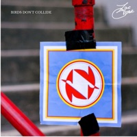 Birds Don't Collide - Single - Zac Chase