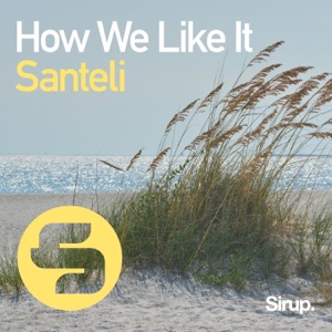 How We Like It - Single