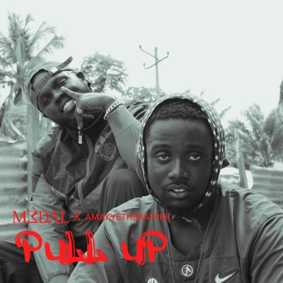 Pull Up (feat. Amakyetherapper) - Single