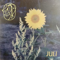 Album cover for Juli by Crying Day Care Choir