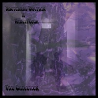 The Children (feat. NinetyFour) - Single - Nocturnal Dolphin