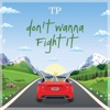 Don't Wanna Fight It - Single