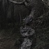 Lance - EP