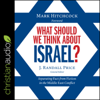 Randall Price - What Should We Think About Israel?: Separating Fact from Fiction in the Middle East Conflict artwork