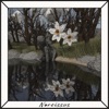 Narcissus