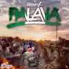SHENKEX - Palava