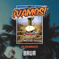 Vamos 2021 (Pilsmisbruker) - Single - Brur