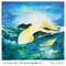 Jolie Holland & the Chandeliers - Tender mirror