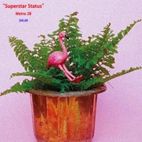 Superstar Status - Single - Metro 28