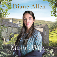 Diane Allen - The Miner's Wife artwork