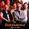 Chapéu de Palha - Single