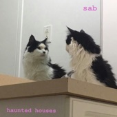 Haunted Houses by SAB